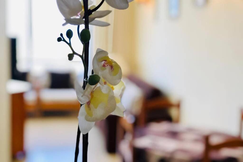 Cozy Apartment Playa Las Americas Playa de las Americas  Bagian luar foto